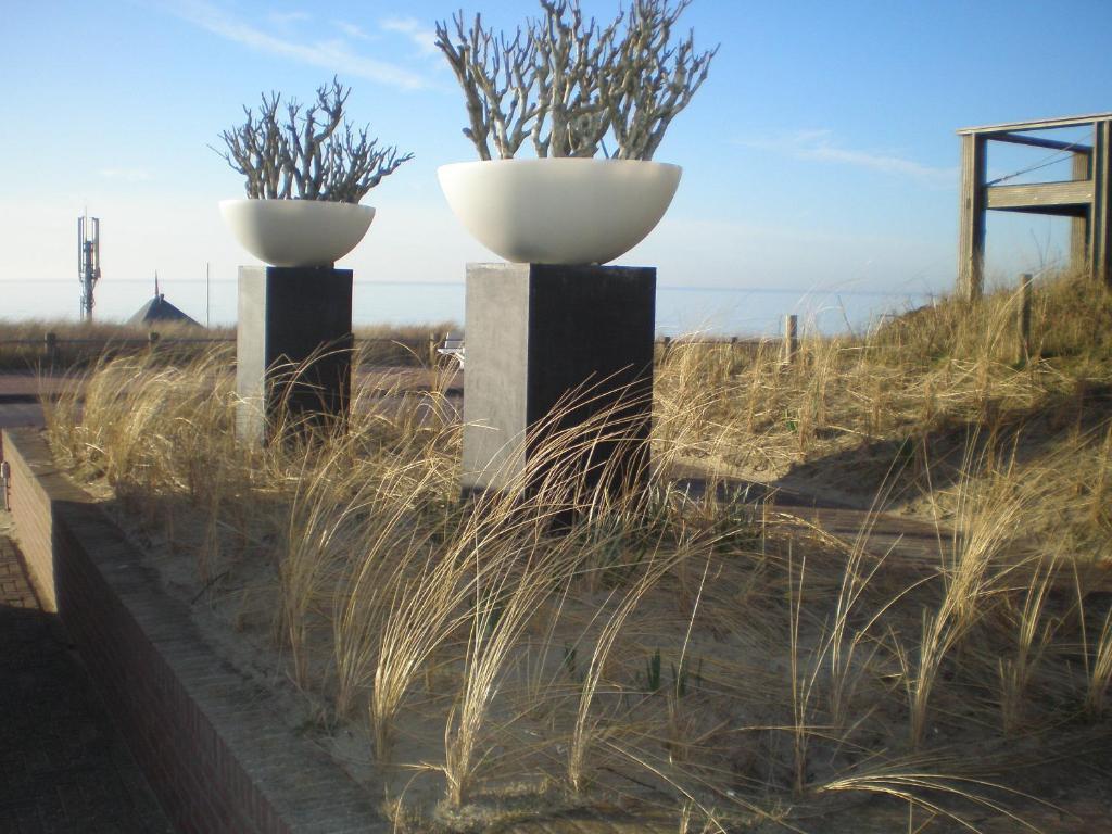 B&B Zeespiegel Zandvoort Cameră foto